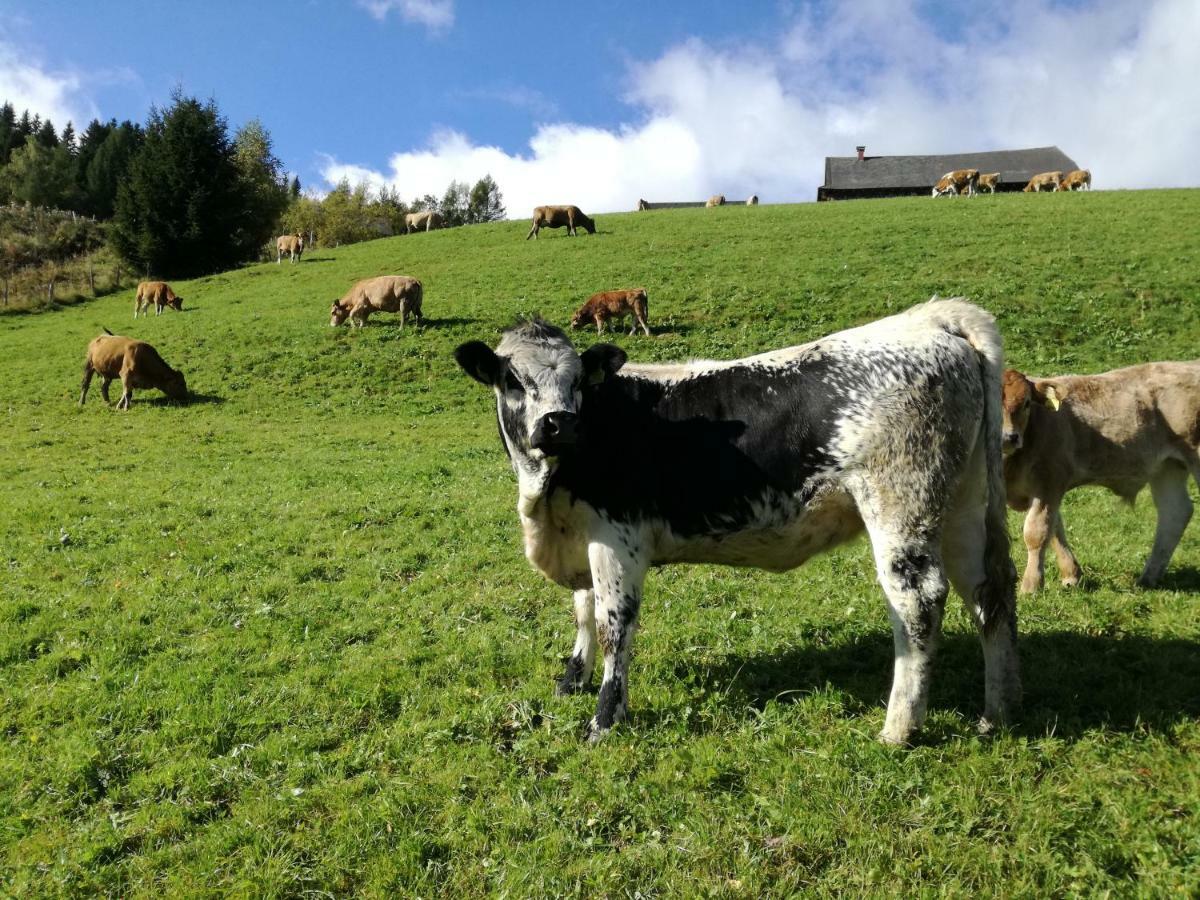 Almhutte Grosserhutte Sankt Wolfgang エクステリア 写真